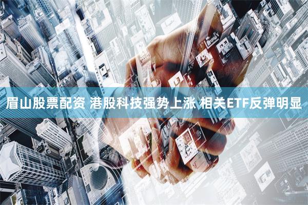 眉山股票配资 港股科技强势上涨 相关ETF反弹明显