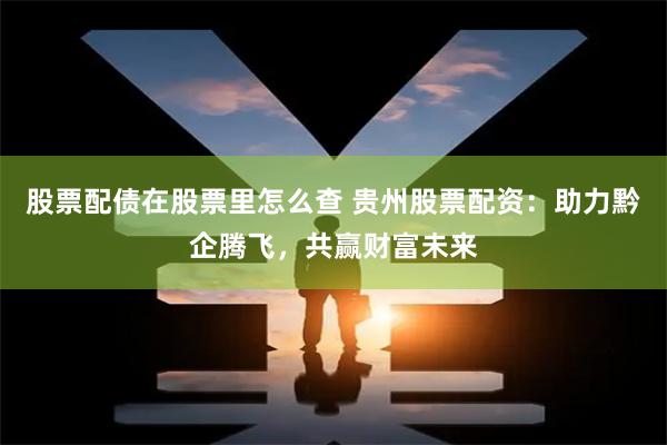 股票配债在股票里怎么查 贵州股票配资：助力黔企腾飞，共赢财富未来